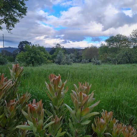 Quinta Jr - Casa De Campo Carregal  Eksteriør billede