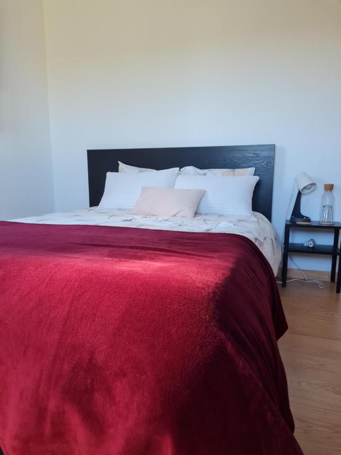 Quinta Jr - Casa De Campo Carregal  Eksteriør billede