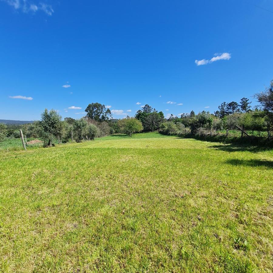 Quinta Jr - Casa De Campo Carregal  Eksteriør billede