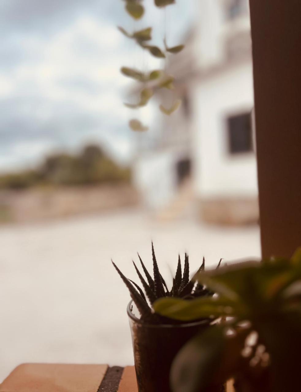 Quinta Jr - Casa De Campo Carregal  Eksteriør billede