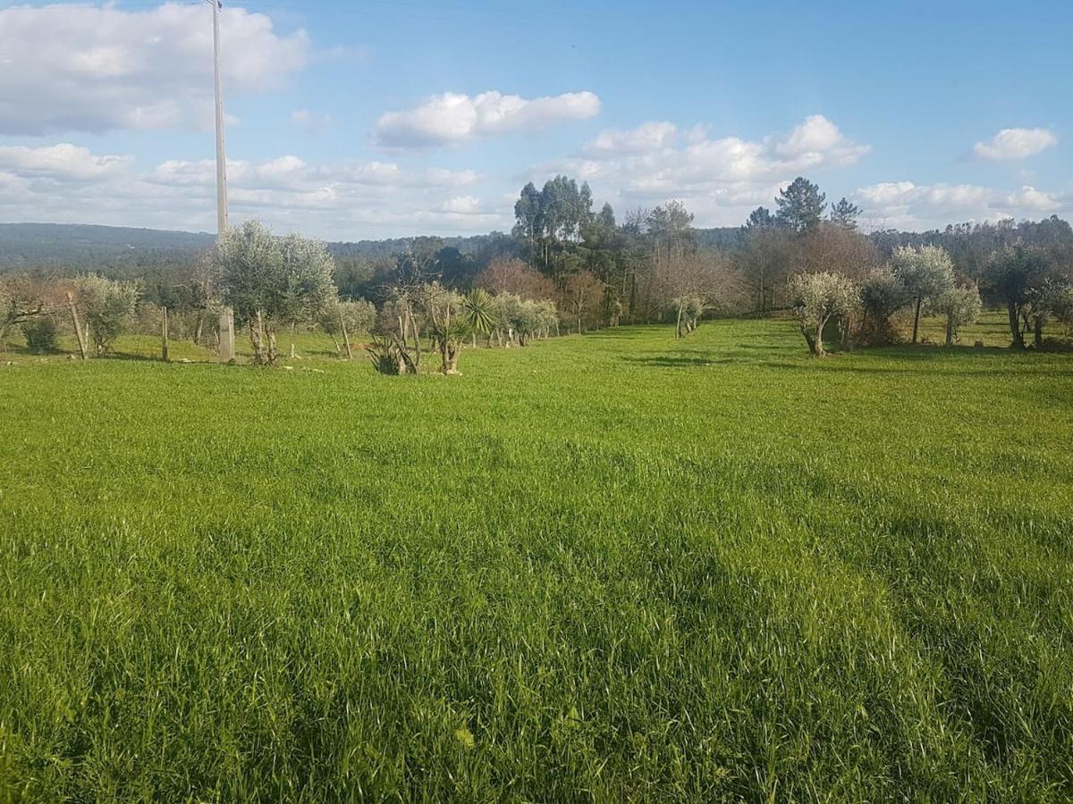 Quinta Jr - Casa De Campo Carregal  Eksteriør billede